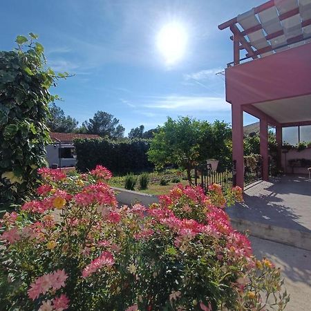 Apartamento Apartman Brigita Biograd Na Moru Exterior foto