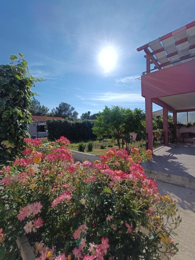 Apartamento Apartman Brigita Biograd Na Moru Exterior foto