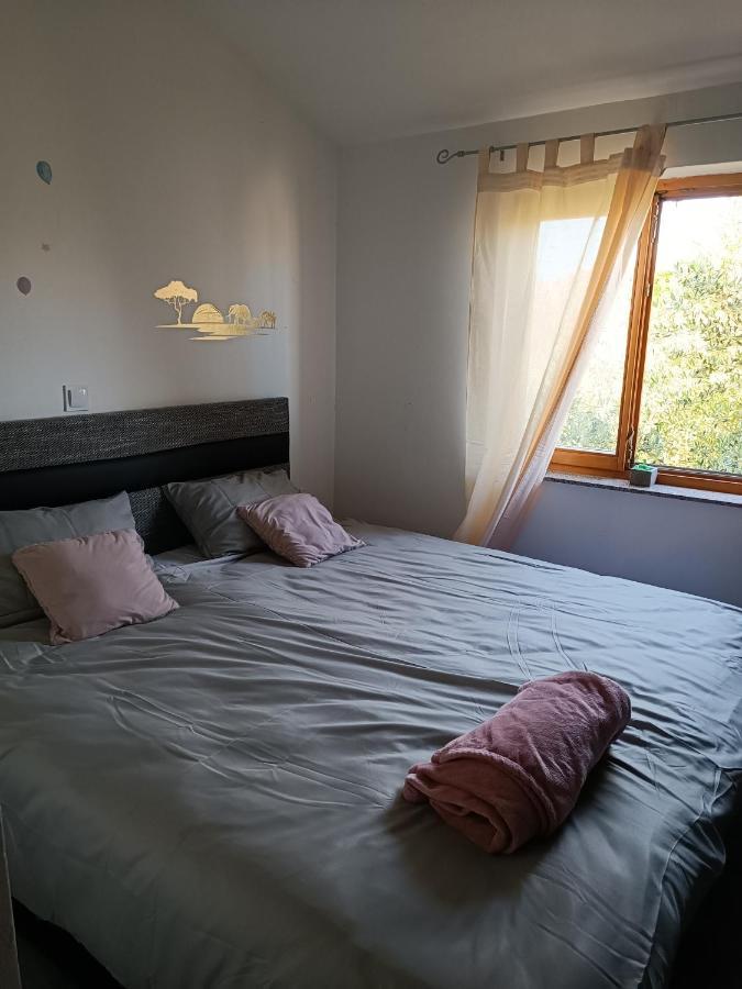 Apartamento Apartman Brigita Biograd Na Moru Exterior foto